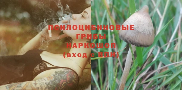 первитин Арсеньев